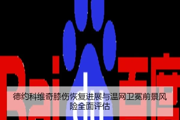 德约科维奇膝伤恢复进展与温网卫冕前景风险全面评估