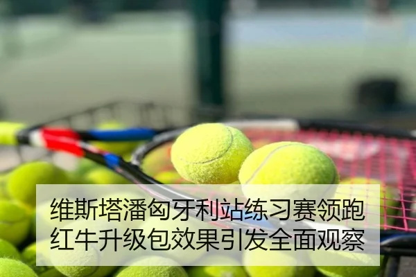 维斯塔潘匈牙利站练习赛领跑 红牛升级包效果引发全面观察
