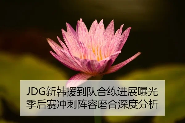 JDG新韩援到队合练进展曝光 季后赛冲刺阵容磨合深度分析