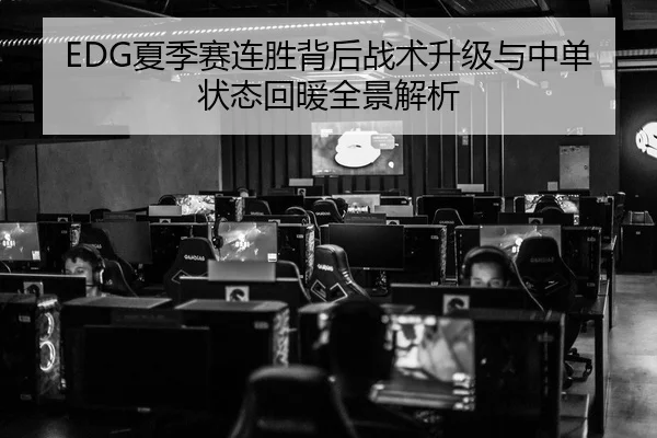 EDG夏季赛连胜背后战术升级与中单状态回暖全景解析