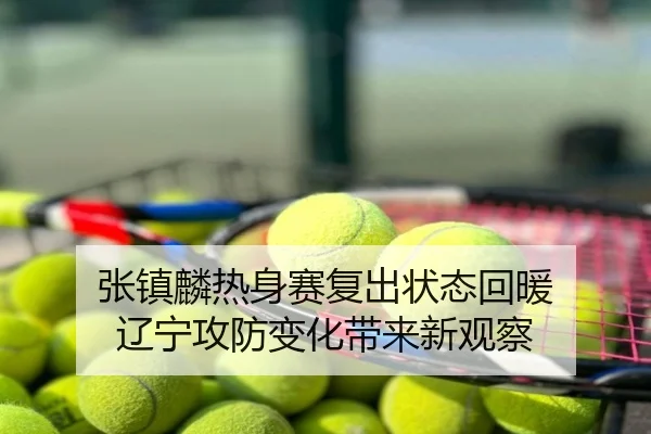 张镇麟热身赛复出状态回暖 辽宁攻防变化带来新观察